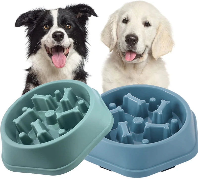 Slow Feeding Dog Bowl