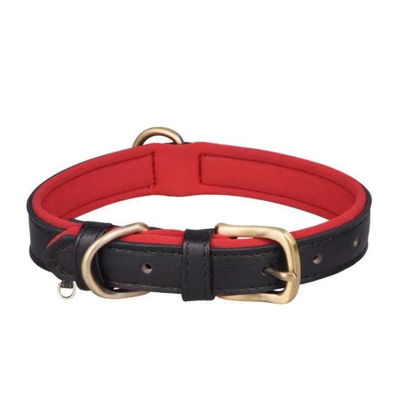 Padded Leather Collar