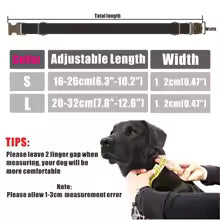 Personalized Velvet Cat Collar