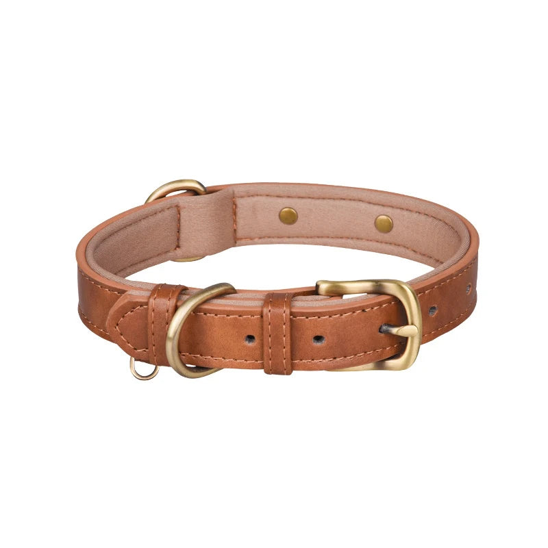 Padded Leather Collar