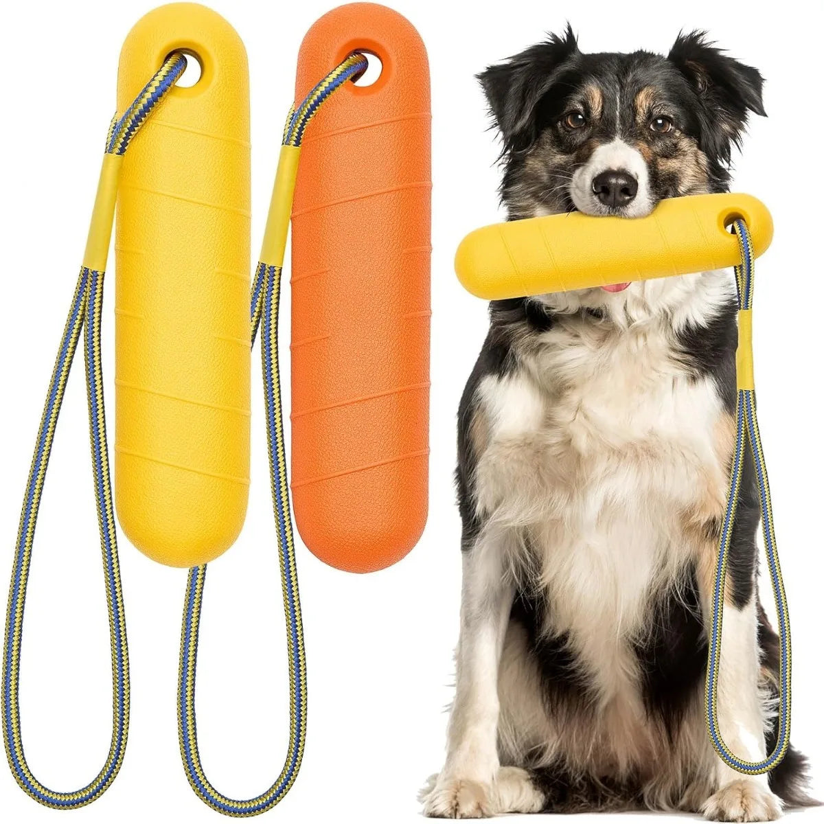 Floating Dog Toys
