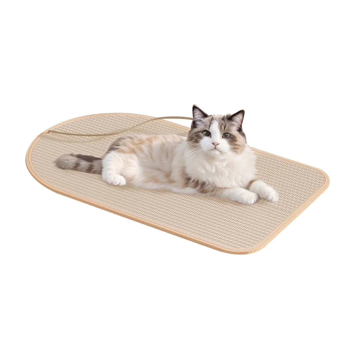 Reversible Cat Scratcher
