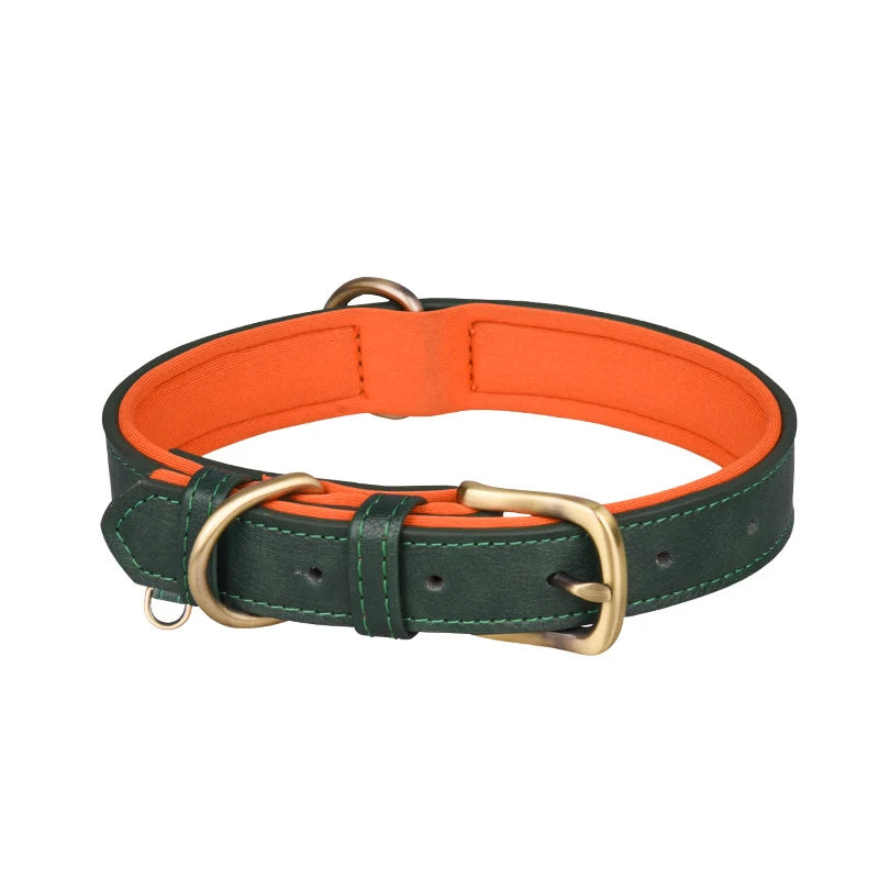 Padded Leather Collar