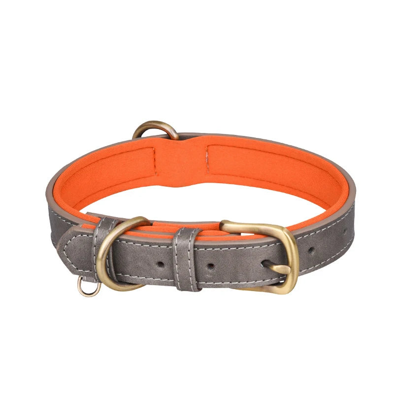 Padded Leather Collar