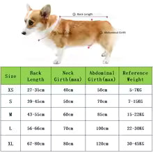 Super Absorbent Bathrobe