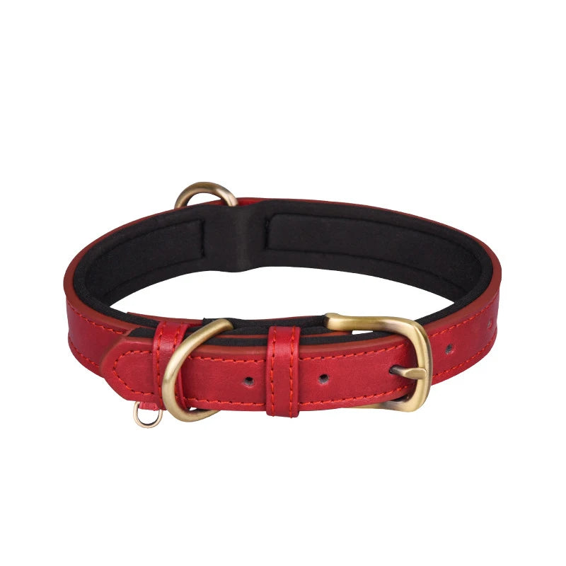 Padded Leather Collar