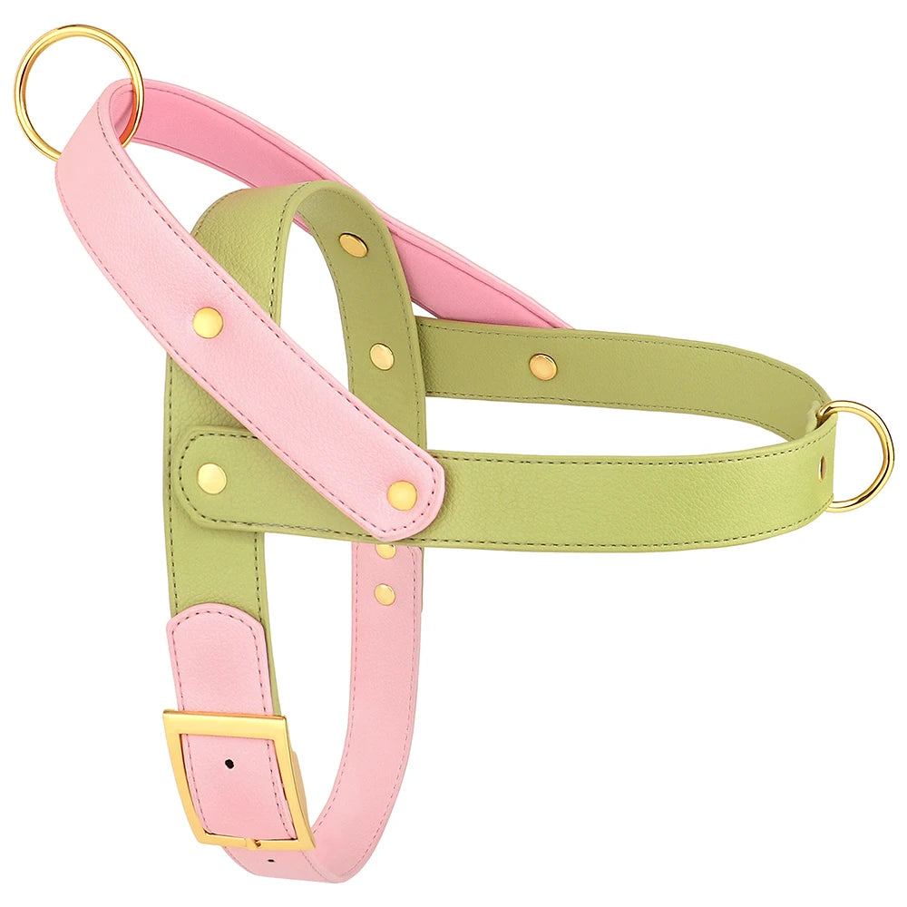 No-Pull Leather Harness