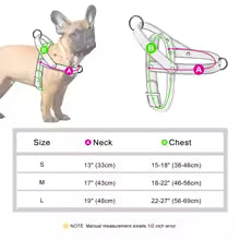 No-Pull Leather Harness