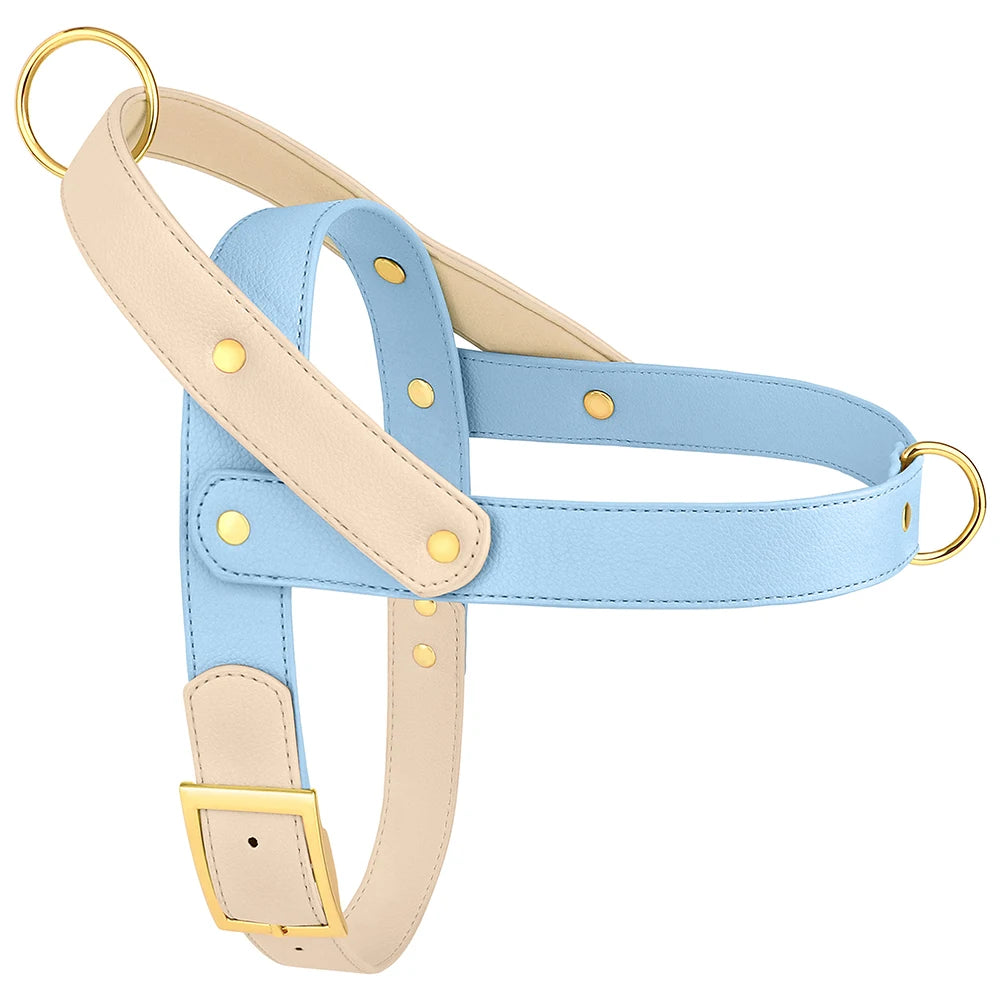 No-Pull Leather Harness