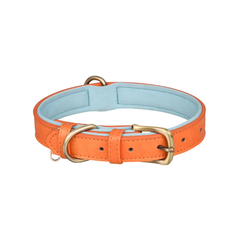 Padded Leather Collar