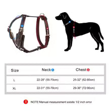 Durable Leather Harness