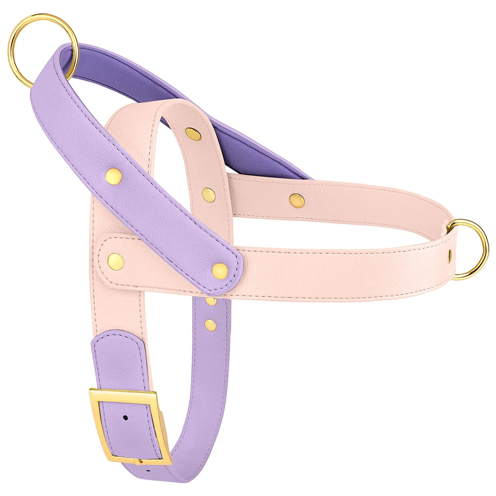 No-Pull Leather Harness