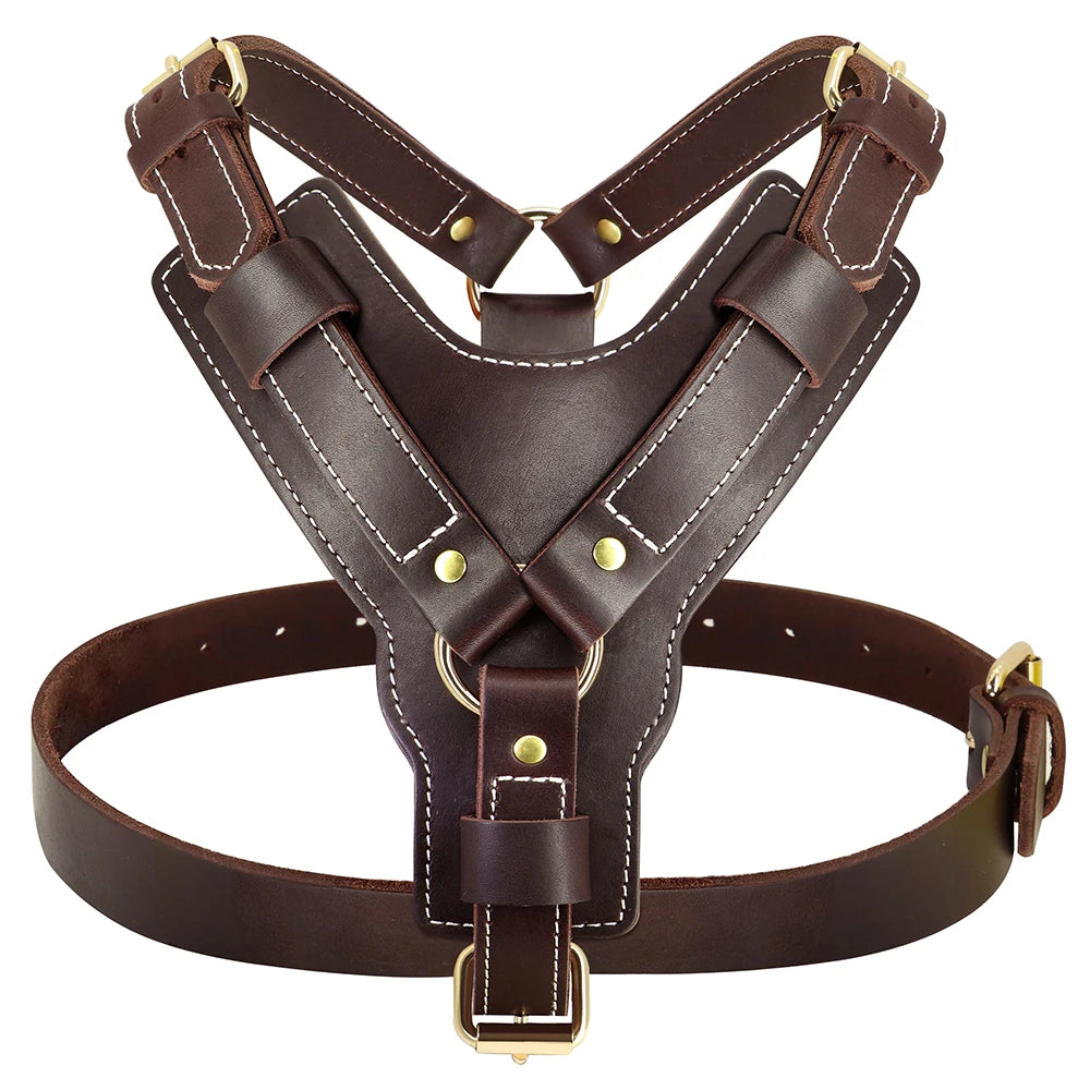 Durable Leather Harness