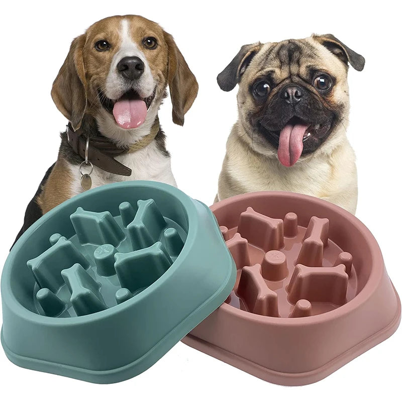 Slow Feeding Dog Bowl